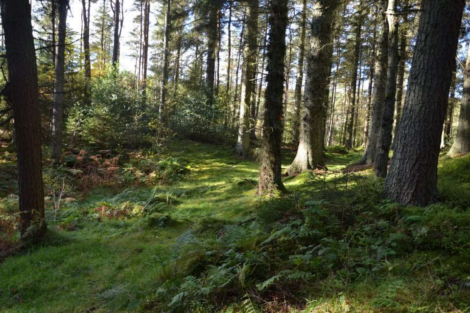 coed llandegla visitor centre